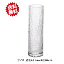 送料無料 一輪挿し ヒビ割れベース お買い得6個セット 直径6.5cm×高さ20cm エイチツーオー 切り花 生花 北海道・沖縄・離島出荷不可