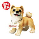送料無料 ラブリーウェルカムドック 柴犬 エイチツーオー 北海道・沖縄・離島出荷不可