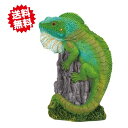 送料無料 グリーンイグアナ 13x9xH21cm 1個 置物 ディスプレー オーナメント リアル ジオラマ エイチツーオー 北海道・沖縄・離島出荷不可