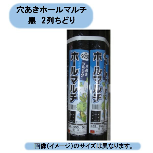 送料無料　穴あきホールマルチ黒　9230　0.02×95×50　2列ちどり　10本組　均一に穴　シンセイ　沖縄・離島出荷不可