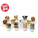 送料無料 ティーカップ入ドック&キャットS 12種×各1個 【12個セット】 エイチツーオー 猫 子犬 置物 オブジェ 店舗 北海道・沖縄・離島出荷不可
