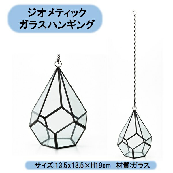 送料無料 ジオメティックガラスハンギング 2個 テラリウム エアープランツ ミニ観葉植物 ハイドロ 北海道・沖縄・離島出荷不可