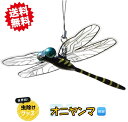 送料無料 12月初旬発売 オニヤンマ 12個セット 虫除けグッズ 蚊/ハエ/蜂/アブ/ブヨ 学校 保育園 遠足 北海道・沖縄・離島出荷不可(4)