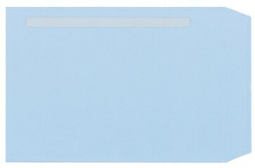【日本全国送料無料】弥生給与純正伝票／給与明細書ページプリンタ用紙専用窓付封筒 333125