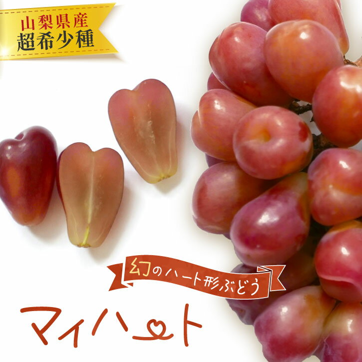 【送料無料】山梨県産 超 希少種『 マイハート 』1房 2房 化粧箱入り 朝摘み 甘さの際立つ ぶどう 8月下旬〜9月下旬のお届け 産地 直送 完熟 山梨産 ギフト 贈り物 贈答品 手土産 甘い かわいい おしゃれ フルーツ くだもの 果物 葡萄 ブドウ 高級 お取り寄せ クール便のサムネイル