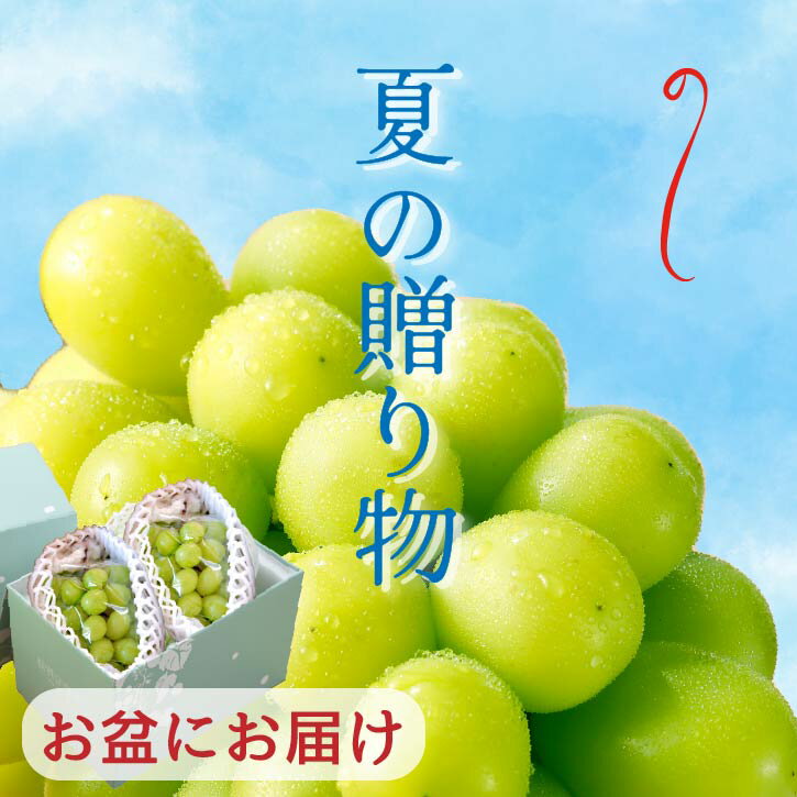 シャインマスカット 2房 【8月上旬出荷予定】 お中元 暑中見舞い 予約 大粒 山梨 シャイン 産地直送 高級 フルーツギフト フルーツ ぶどう 山梨 産直 クール便 ギフト 贈り物 贈答用 お祝い くだもの 果物 お盆 ブドウ