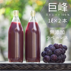 山梨県産 ぶどうジュース 巨峰 100％ ストレート フルーツ 1000ml×2本セット グレープジュース 巨峰ジュース 葡萄ジュース 葡萄 ぶどう ストレートジュース お歳暮 御歳暮 ギフト ラベルレス ノーラベル エコパッケージ