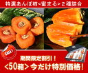 【お買得価格!】蜜のように甘くてトロ?り!【特選あんぽ柿 蜜まる】2種詰め合わせ ※2箱以上送料無料