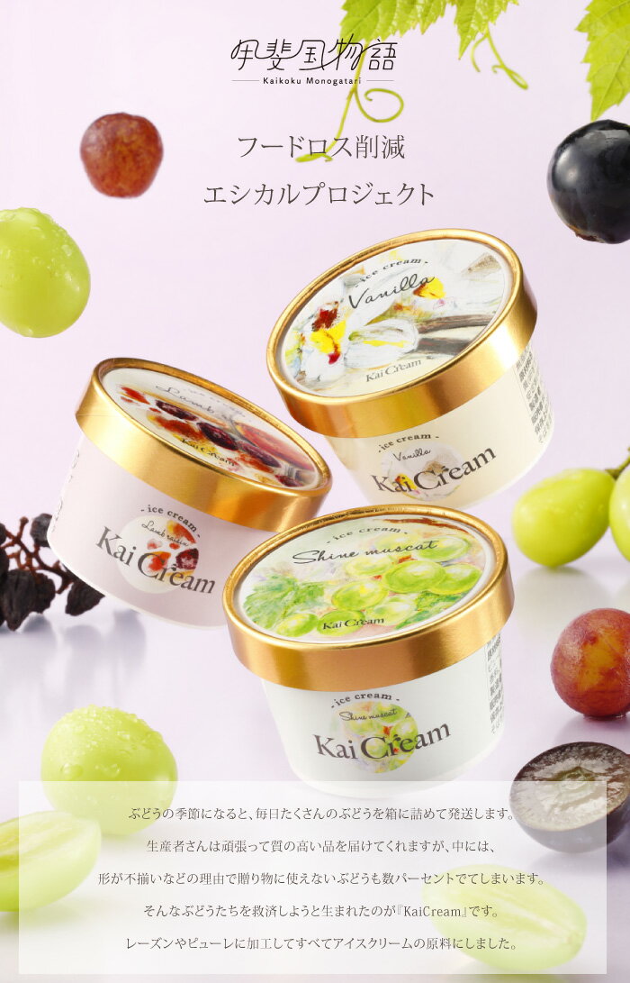 送料無料 アイスクリーム ラムレーズン シャインマスカット バニラ 3種 ギフト 12個×2入り KaiCream 山梨県産 ぶどう 贅沢ぶどうアイス スイーツ 詰め合わせ お中元 御中元 高級 お取り寄せ 贈答品 内祝い ギフト プレゼント 2