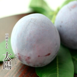 【送料無料】 山梨県産 特選 スモモ 太陽 12玉前後(約1.8kg) 産地直送 化粧箱 入り 希少 プラム 李 もも 完熟 朝もぎ 高級 新鮮 旬 フルーツギフト ギフト 贈り物 贈答品 お取り寄せ 厳選 果物 くだもの ネクタリン 【7月下旬〜8月中旬頃発送】