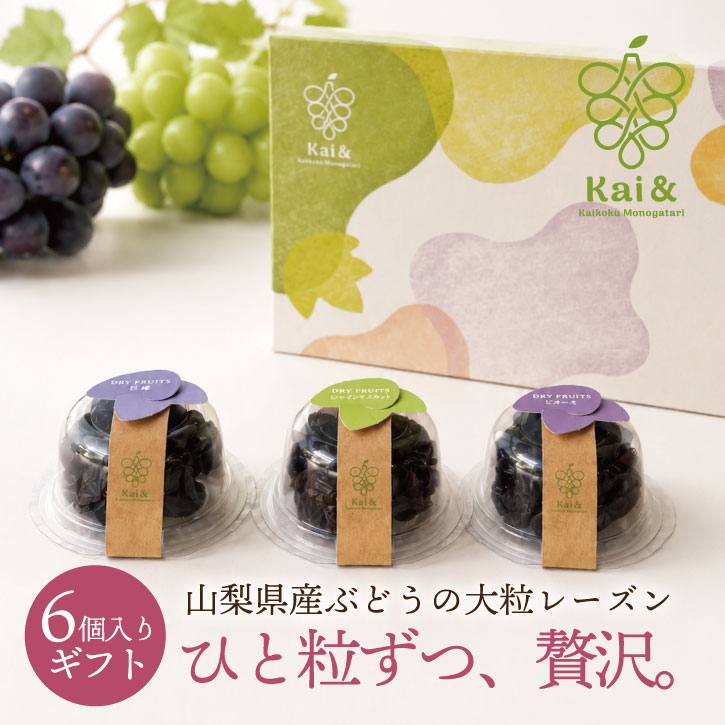 国産レーズン 食べ比べ ギフトセット 無添加 山梨県産 ドライフルーツ シャインマスカット 巨峰 ピオーネ 大粒 個包装 贈り物 お中元 ギフト