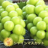 楽天市場 甲斐国物語 みんなのレビュー 口コミ 楽天市場 甲斐国物語 みんなのレビュー 口コミ
