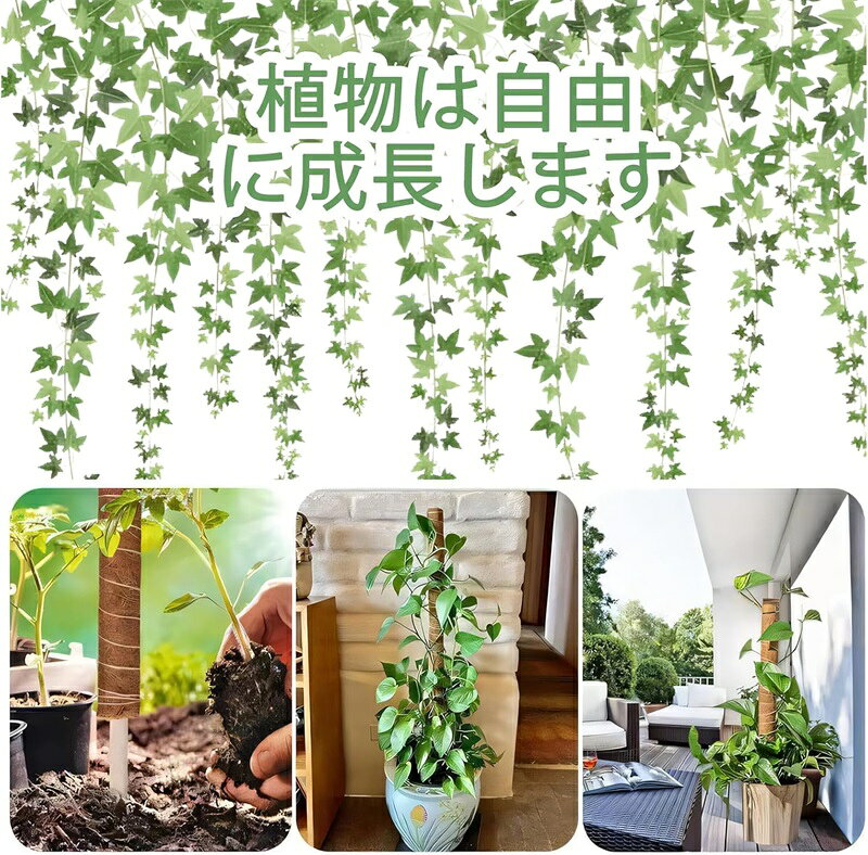 園芸支柱 モンステラ 支柱 モンステラ ココナッツ DIY曲げる可能 観葉植物 つる植...