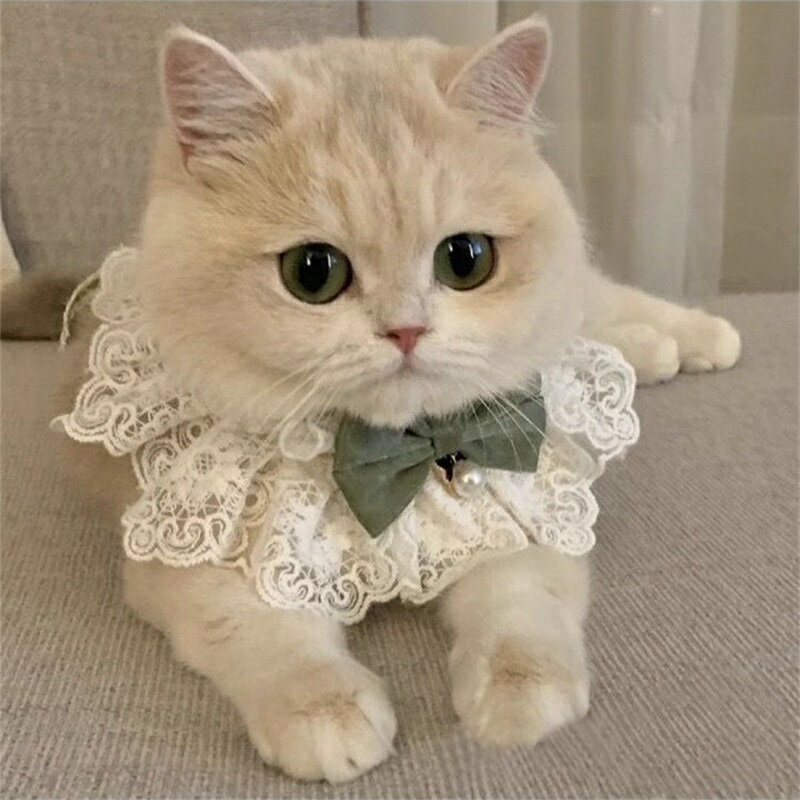 ペットバンダナ 2個セット 猫首輪 かわいい 和風結婚式リボン 貴族風 刺繍レース猫用首輪可愛い首飾り 軽量ネコ用くびわスカーフ ペットへのギフト お祭り