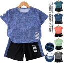 スポーツウェア キッズ 上下セット ショートパンツ 半袖 男の子 女の子 Tシャツ ハーフパンツ セットアップ ジャージ ドライ メッシュ ドライ 吸汗 速乾