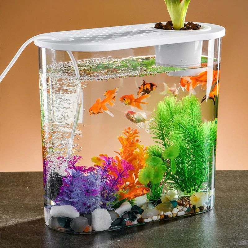 Kailandの金魚鉢 水槽 飼育水槽 プラスチックガラスポット 透明アクリル 観葉植物 インテリア 飾り コンテナ テーブル 水耕栽培 大容量 インテリア 植物栽培｜アングル2