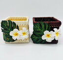 ○o。ハワイアン Hawaiian バスケット 小物入れ 【2連プルメリア×モンステラ】 ハワイ雑貨 ハワイアンインテリア リモコン カトラリーケース ペン立て...
