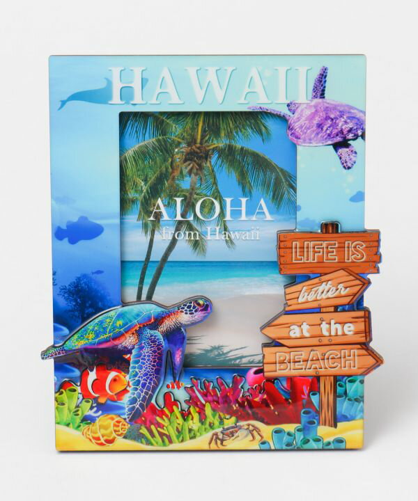 ○o。ハワイアンハワイホヌフォトフ...