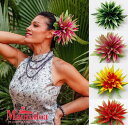○o。【Maunaloa】ハワイアン ヘリコニアヌイクリップ ヘアクリップ 髪飾り フラダンス ハワイ雑貨 ハワイアン雑貨 フラダンス フラ小物 マウナロア フ...