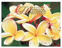 ○o。【ABC限定】2026年 ハワイアン カレンダー【Flowers】ハワイ直輸入・限定!! ハワイ雑貨 花 ワイキキ プルメリア ハイビスカス ハワイアンイ...