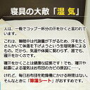 【ポイント20倍】洗える 除湿シート 送料無料 シングルサイズさらっとファイン スタンダード東洋紡/モイスファイン/消臭/防カビ/吸湿/除湿マット/湿気センサー付/ウォッシャブル/日本製/田村駒 2