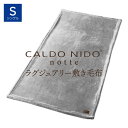 CALDO NIDO notte 3 敷き毛布 シングル シルバー カルドニードノッテ [ 敷きパッド あったか 通年 快眠博士 暖かい 敷きパット 敷パッ..