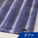 CALDO NIDO notte 2 敷き毛布 ダブル パープル カルドニードノッテ [ 敷きパッド 通年 あったか 日本製 洗える 暖かい 快眠博士 敷きパ..