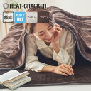 HEAT CRACKER 洗える電気毛布(敷き) シングル 140×80 ブラウン ヒートクラッカー 電気毛布 洗える シングル タイマー付き フランネル 快眠博士