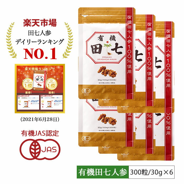 高麗人蔘エッセンス（48g）【観世貿易】【送料無料】