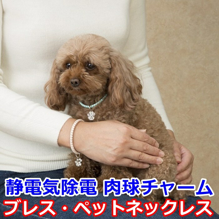 ŵ  㡼 (֥쥹 ڥåȥͥå쥹)ŵ ڥå ͥå쥹   ǭ