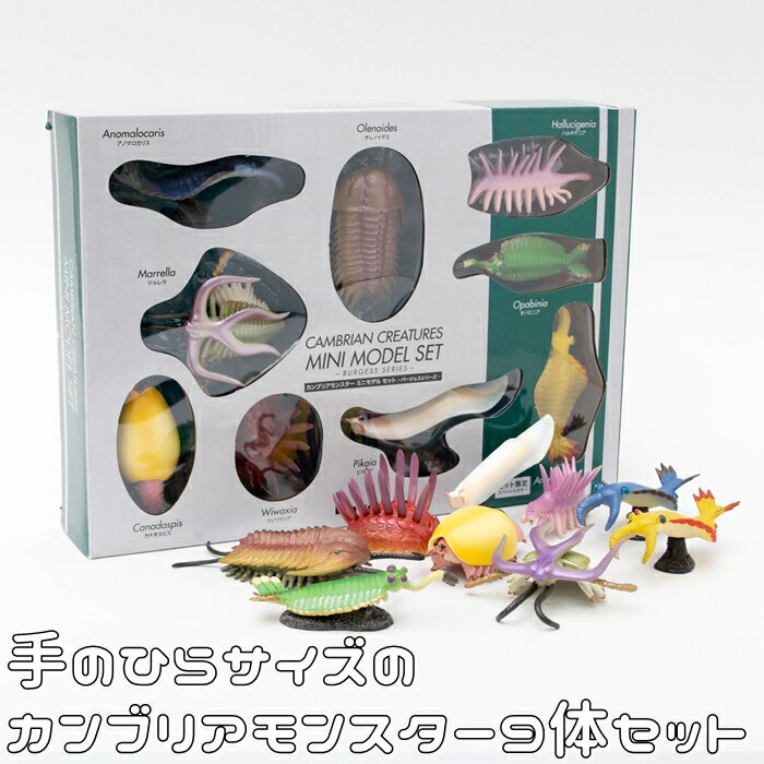 【おもちゃ フィギュア】手のひらサイズ　ミニカンブリアモンスター FP-251 フェバリットコレクション 模型プレゼント対応（誕生日、御祝、こどもの日、クリスマス）のサムネイル