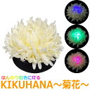 仏壇用 LED 仏花 2個セット【KIKUHANA ~ 菊花 ~】 センサーライト 安全 安心 仏壇 LED フラワーライト 1時間で自動消灯 乾電池式