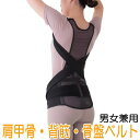 蒸れにくい メッシュ 背筋サポーター 男女兼用 S/M/L (骨盤ベルト 骨盤サポーター 肩甲骨ベルト 肩甲骨サポーター 背筋ベルト 背筋サポーター 肩甲骨 背...