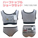 スヌーピー ハーフトップ&ショーツセット 女の子 ショーツ ブラ グレー ジュニアインナー 子供用肌着 スヌーピー 下着 パンツ トップ小学生 中学生 高校生 ...