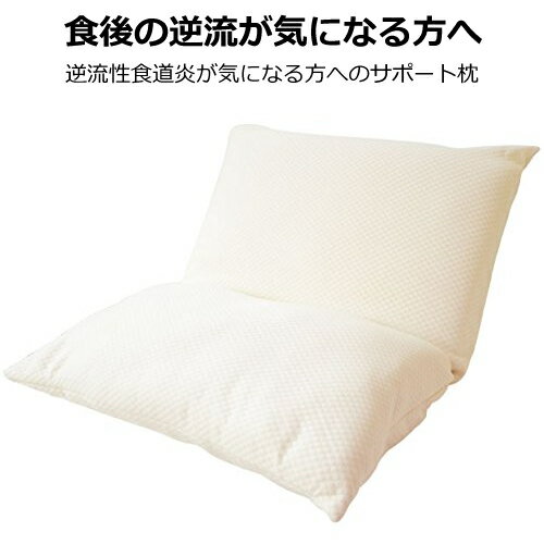 逆流性食道炎が気になる方へ！ スロープピロー (カバー付) Slope Pillow 高機能 安眠 枕 適度な傾斜で、快適寝姿勢をサポート 緑内障を招く一因の夜間高眼圧を退ける