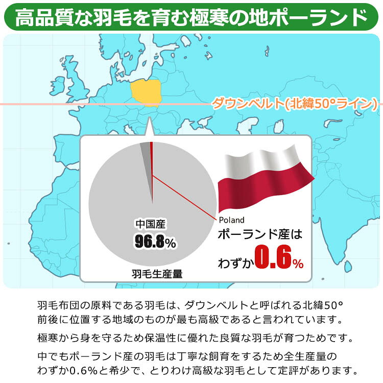 【2500円光触媒加工無料!】京都西川 ローズ 羽毛布団 ポーランド産ホワイトグースダウン93%(ダブルロング・190×210)DP410 日本製 側生地超長綿100% ダブルサイズ 二層キルト 冬用羽毛掛け布団 羽毛掛布団 羽毛ふとん DL [3]