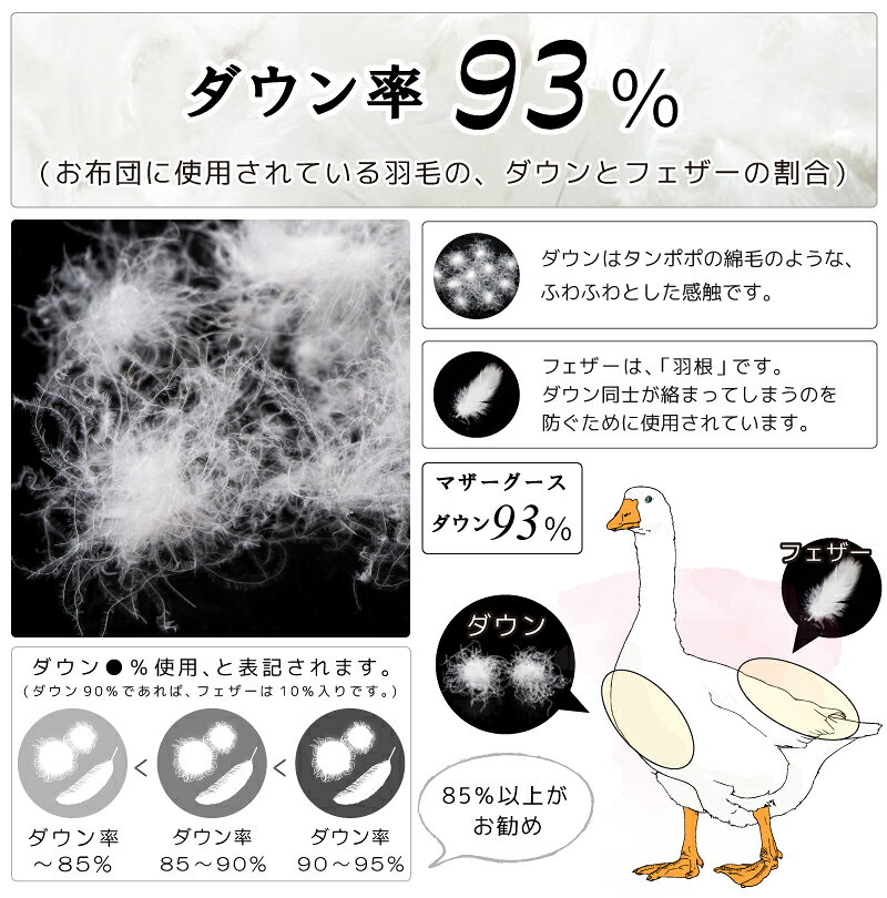 【2500円光触媒加工無料】ダウンケット ホワイトマザーグースダウン93% ロイヤルゴールドラベル DP420 ハンガリー産 3年保証 日本製 綿100% 立体キルト 甲州羽毛ふとん 羽毛掛け布団 タキ・リビング SL SDL DL QL KL F ファミリーサイズ [2]