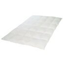 【ポイント10倍】昭和西川 SNフレッシュプロ ウォッシャブル羽毛肌掛けふとん DL 190×210cm 0.5kg ハウスダスト対策 抗菌 防臭 ポリジン加工 高密度織り やさしい 肌触り 丸洗い 洗える ウォッシャブル 日本製 肌布団 肌かけ はだかけ ダウンケット 夏用(3)
