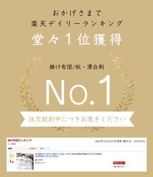 羽毛布団 セミダブル ダウン90% セミダブル 羽毛布団 羽毛掛け布団 セミダブル羽毛布団 掛ふとん かけ布団 羽毛 布団 セミダブル 掛け布団 セミダブル 冬掛け布団 冬布団 羽布団 セミダブル 掛け布団 冬 おすすめ 掛けふとん 掛布団 掛けぶとん