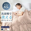 羽毛布団 夏用 ダウン85% ダウンケット シングル 夏用掛け布団 羽毛肌掛け布団 掛け布団 夏用 羽毛布団 ダウンケット 夏用 夏布団 肌掛け布団 シングル ...