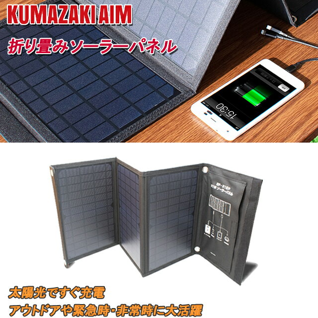 ڥ᡼ݾաۥޥ  21W ޤߥ顼ѥͥ 顼㡼㡼 ڥ顼ѥͥ USB