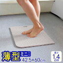 お風呂マット 薄型 小 (42.5×60cm 厚さ1.4cm) 浴室マット バスマット 薄い ミニ 小さい 防カビ お風呂 浴室 洗い場 浴室内 風呂マット バスマット 浴用 浴用マット バリアフリー グレー 送料無料