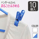 洗濯バサミ 10個入 ピンチ 洗濯ピンチ ハンガー用 外干し 洗濯干し 洗濯物干し 洗濯 物干し 屋外 洗濯ばさみ ハンガーまるごとピンチ 白 ホワイト ブルー NSR ネオスール