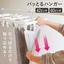 ピンチハンガー 引っ張るだけ 60ピンチ 42ピンチ 引っ張る すぐ取れる 洗濯ハンガー 60 42 低竿対応 サイドフック マンション ベランダ 物干しハンガ...