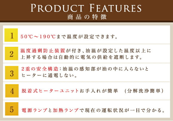 電気フライヤー FL-DS6 ミニフライヤー 卓上フライヤー 厨房機器 あす楽