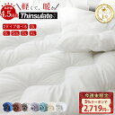 【62%OFF&2枚目10%クーポン】 \楽天1位&8万枚突破/ 掛け布団 シングル 布団 羽毛布団より 軽くて暖かい シンサレート 掛け布団 セミダブル ダブル クイーン キング サイズ 掛布団 掛け布団 オールシーズン 洗える 掛ふとん 冬 冬掛け布団 洗える かけ布団 冬用 NENEKO