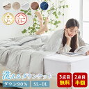 ダウンケット シングル 薄い 羽毛布団 夏用 ダウン90% 羽毛肌掛け布団 夏布団 肌掛け布団 羽毛 ダウンケット セミダブル ダブル 羽毛布団 薄い 掛け布団...