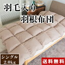 ★全品P5倍!クーポン配布中!2/24まで★ 羽根布団 シン...