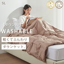 【5の日50%クーポン】 ダウンケット シングル ダウン93% 羽毛肌掛け布団 羽毛布団 夏用 夏布団 夏用 羽毛布団 肌掛け布団 羽毛 肌掛け布団 羽毛布団 薄手 肌 掛け布団 羽毛 夏用 掛け布団 肌掛け布団 夏 羽毛布団 洗える 夏布団 掛け布団 羽 布団 NENEKO