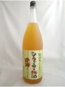 中野BC 紀州のシークァーサー梅酒 1.8L 12度 リキュール 母の日 ギフト 贈り物